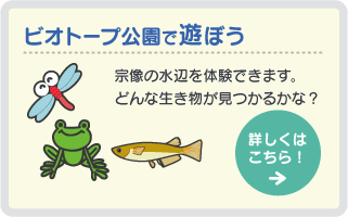 ビオトープ公園で遊ぼう